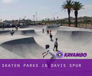 Skaten Parks in Davis Spur