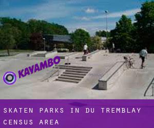 Skaten Parks in Du Tremblay (census area)
