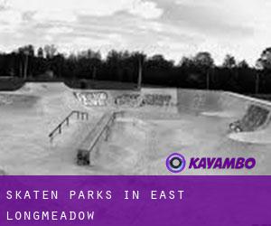 Skaten Parks in East Longmeadow