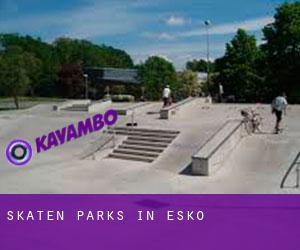 Skaten Parks in Esko