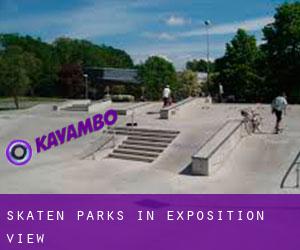 Skaten Parks in Exposition View