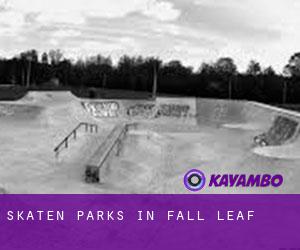 Skaten Parks in Fall Leaf