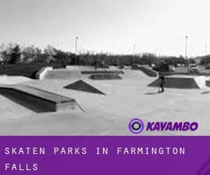 Skaten Parks in Farmington Falls