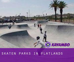 Skaten Parks in Flatlands