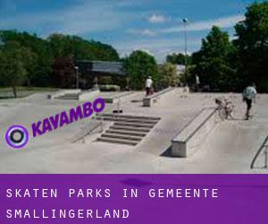 Skaten Parks in Gemeente Smallingerland