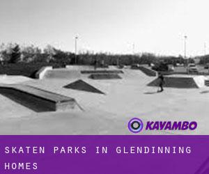 Skaten Parks in Glendinning Homes