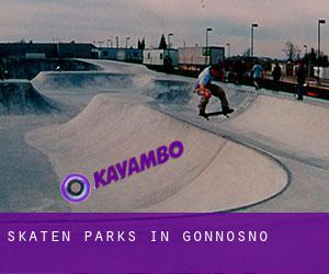 Skaten Parks in Gonnosnò