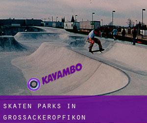 Skaten Parks in Grossacker/Opfikon