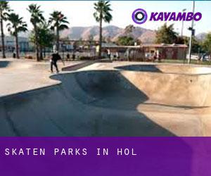 Skaten Parks in Hol