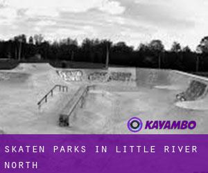 Skaten Parks in Little River North