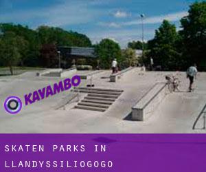 Skaten Parks in Llandyssiliogogo