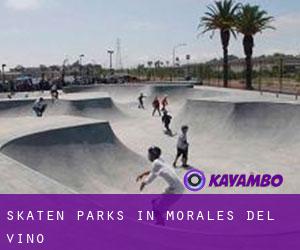 Skaten Parks in Morales del Vino