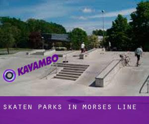Skaten Parks in Morses Line