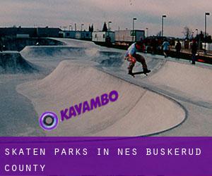 Skaten Parks in Nes (Buskerud county)