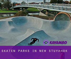 Skaten Parks in New Stuyahok