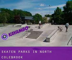 Skaten Parks in North Colebrook