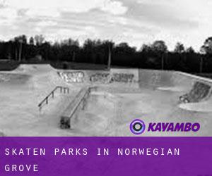 Skaten Parks in Norwegian Grove