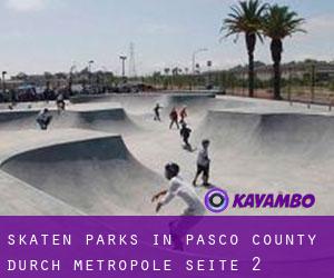 Skaten Parks in Pasco County durch metropole - Seite 2