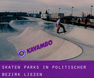 Skaten Parks in Politischer Bezirk Liezen
