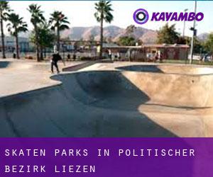 Skaten Parks in Politischer Bezirk Liezen