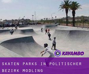 Skaten Parks in Politischer Bezirk Mödling