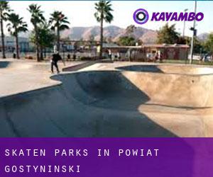 Skaten Parks in Powiat gostyniński