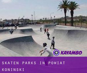 Skaten Parks in Powiat koniński