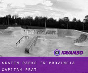 Skaten Parks in Provincia Capitán Prat