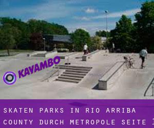 Skaten Parks in Rio Arriba County durch metropole - Seite 1