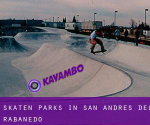 Skaten Parks in San Andrés del Rabanedo