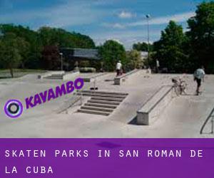 Skaten Parks in San Román de la Cuba