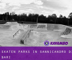 Skaten Parks in Sannicandro di Bari