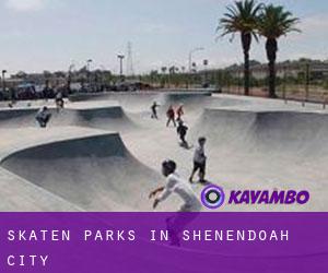 Skaten Parks in Shenendoah City