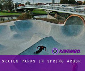 Skaten Parks in Spring Arbor
