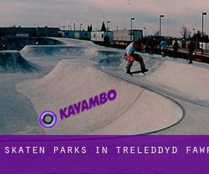 Skaten Parks in Treleddyd-fawr