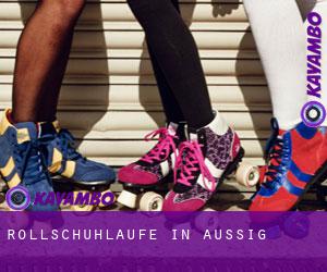 Rollschuhlaufe in Aussig