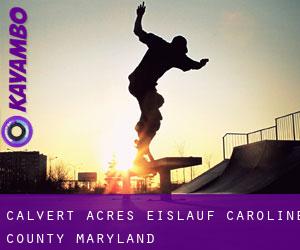 Calvert Acres eislauf (Caroline County, Maryland)