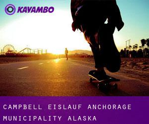 Campbell eislauf (Anchorage Municipality, Alaska)