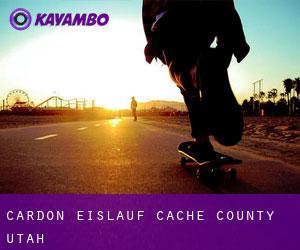 Cardon eislauf (Cache County, Utah)