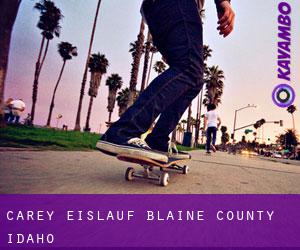 Carey eislauf (Blaine County, Idaho)