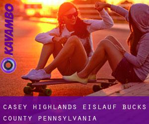 Casey Highlands eislauf (Bucks County, Pennsylvania)