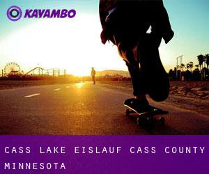 Cass Lake eislauf (Cass County, Minnesota)