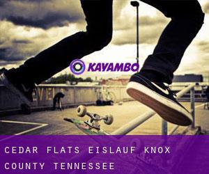 Cedar Flats eislauf (Knox County, Tennessee)