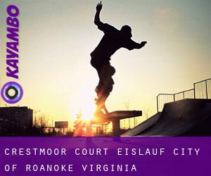 Crestmoor Court eislauf (City of Roanoke, Virginia)