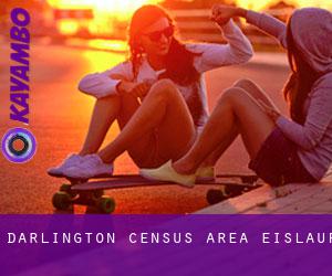 Darlington (census area) eislauf