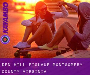 Den Hill eislauf (Montgomery County, Virginia)