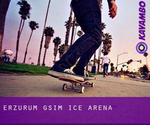 Erzurum GSIM Ice Arena