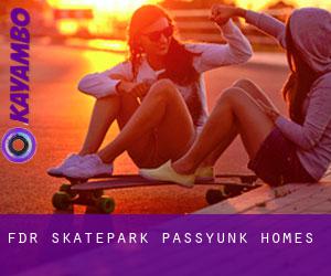 FDR Skatepark (Passyunk Homes)