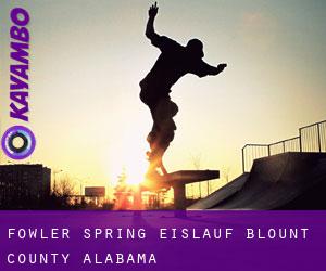 Fowler Spring eislauf (Blount County, Alabama)