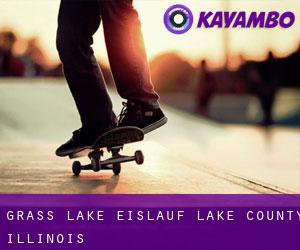 Grass Lake eislauf (Lake County, Illinois)